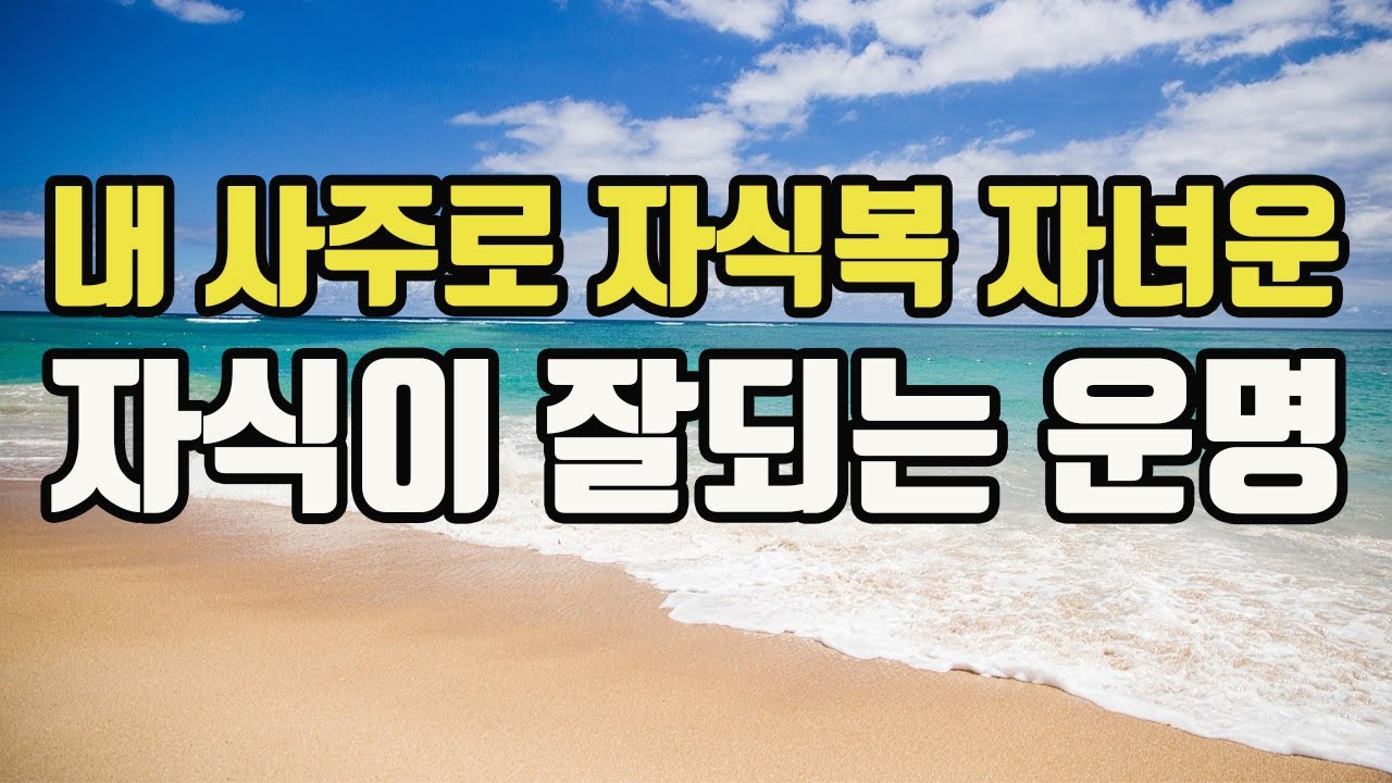 자식운 보는법 자식이 잘 되는 사주 특징 자식이 잘 될 운명#자식이잘되는사주특징#자식이잘될운명
