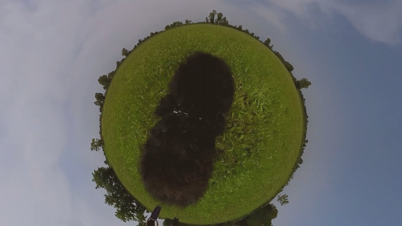 okgiorgio - ok :)