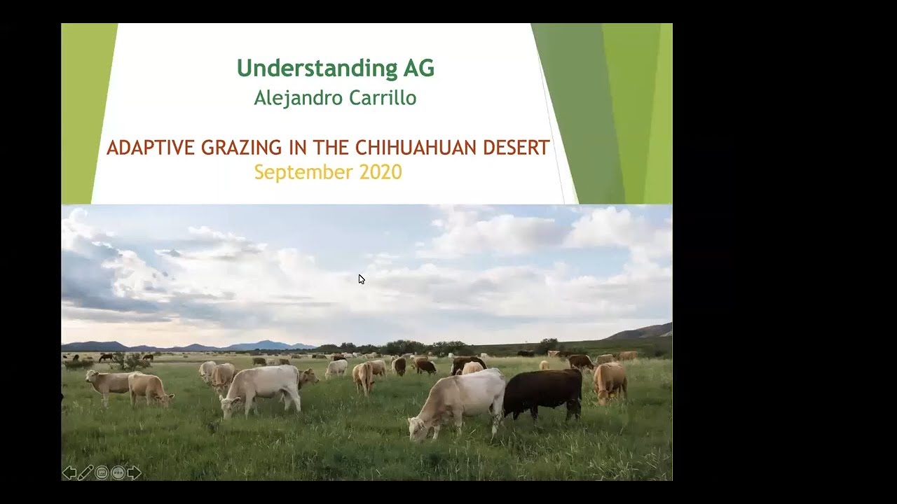 Greening the Desert, Alejandro Carrillo_9-15-20