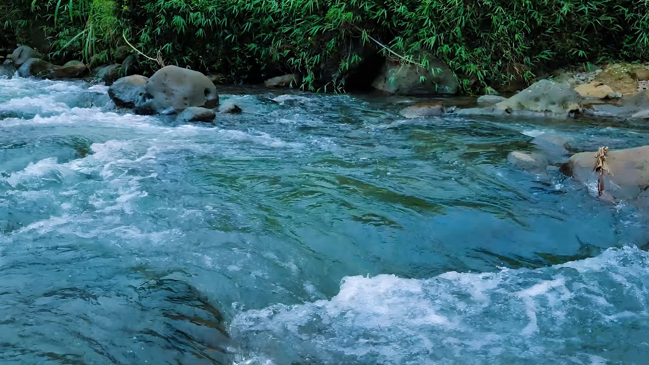 Deep Sleep Nature Sounds | Peaceful River Flow with Birds for Relaxation and Calm Mind
