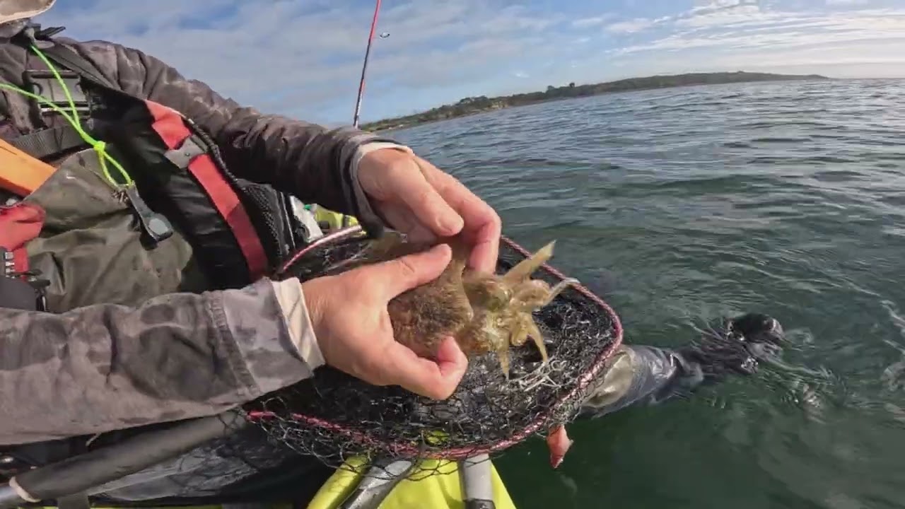 Pêche aux leurres