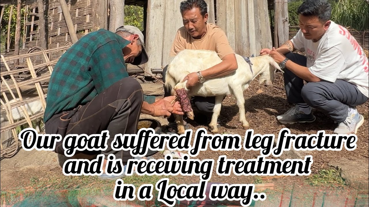 Getting treatment in old method…