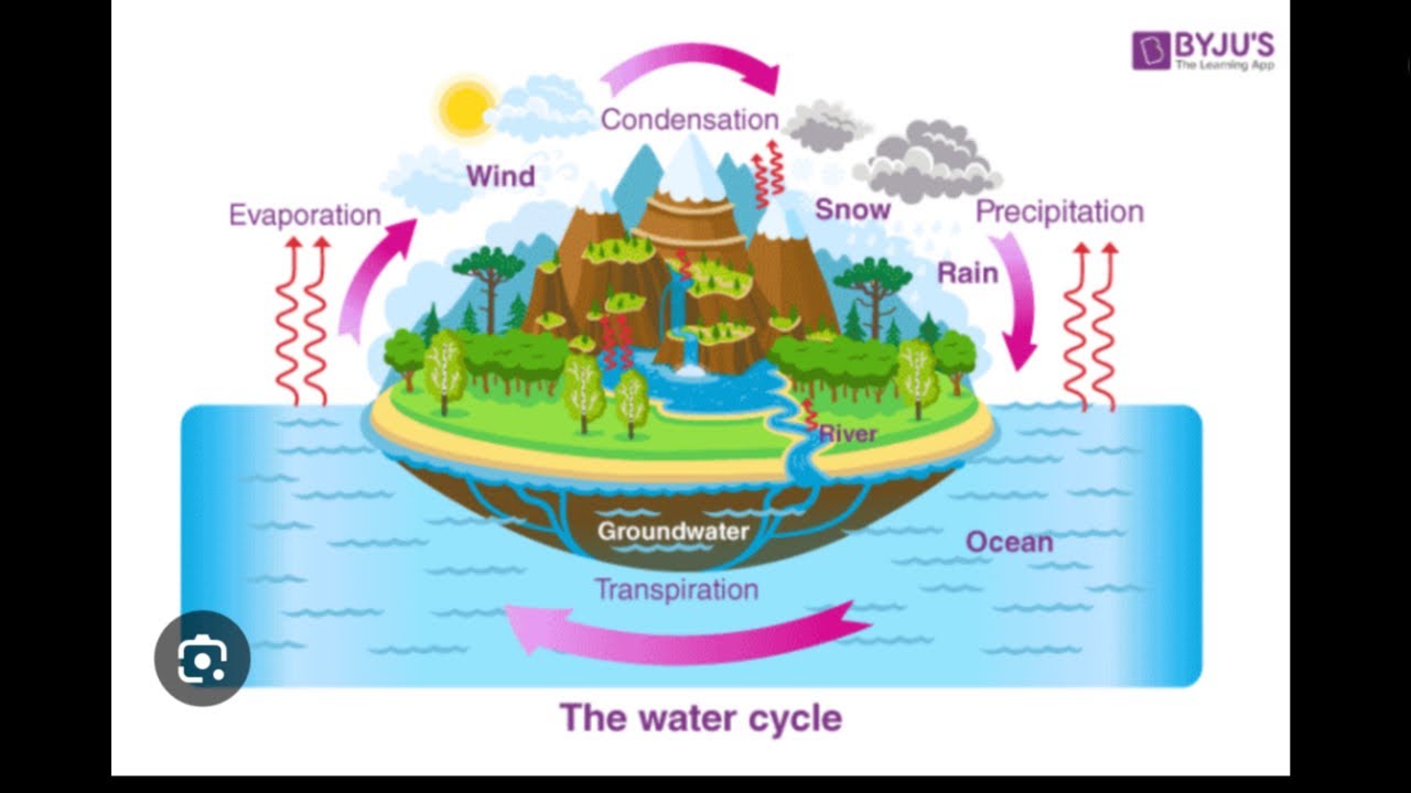 Water Cycle of life