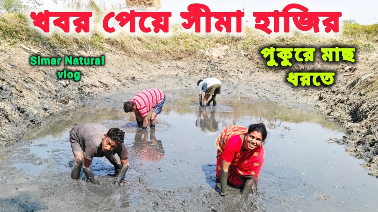সীমা কতো পাকাল মাছ পেলো -  কোথায় গেলাম মাছ ধরতে -ছেচা পুকুরে এত পাকাল মাছ, 