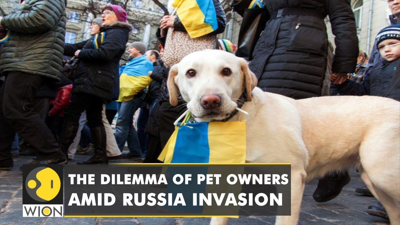 The dilemma of pet owners amid Russia invasion | Ukrainian citizens unable to flee with pets | WION