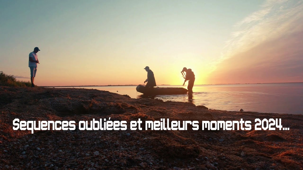 les scènes perdues 2024 (dorades,loups,seiches,calamar,brochet,truites,mer,etang,eau douce...) !💥💥