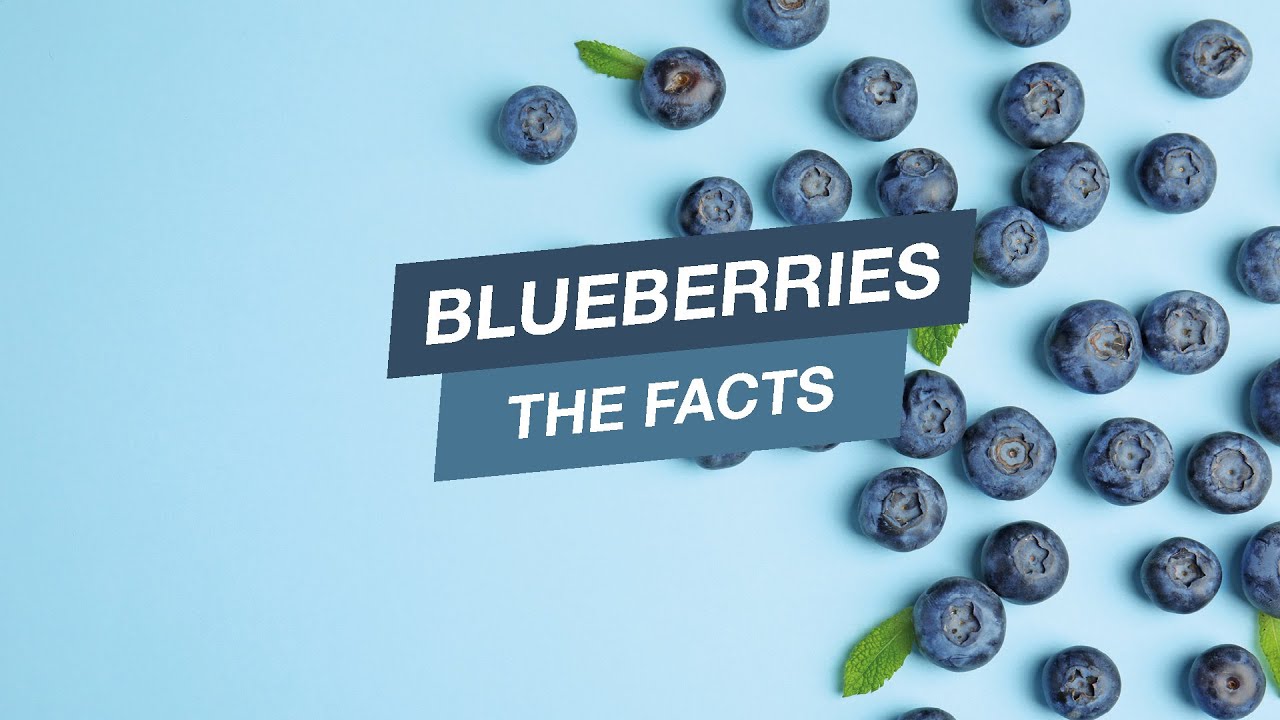Fruit of the month July : Blue Berries