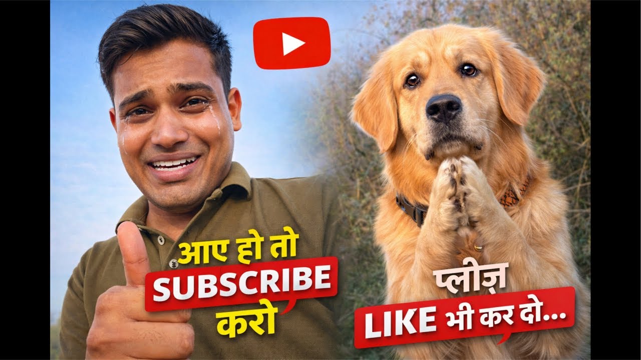 Evening workout and gym |Please support|#shorts #shortvideo #pet #Max_vilager #cutepuppy