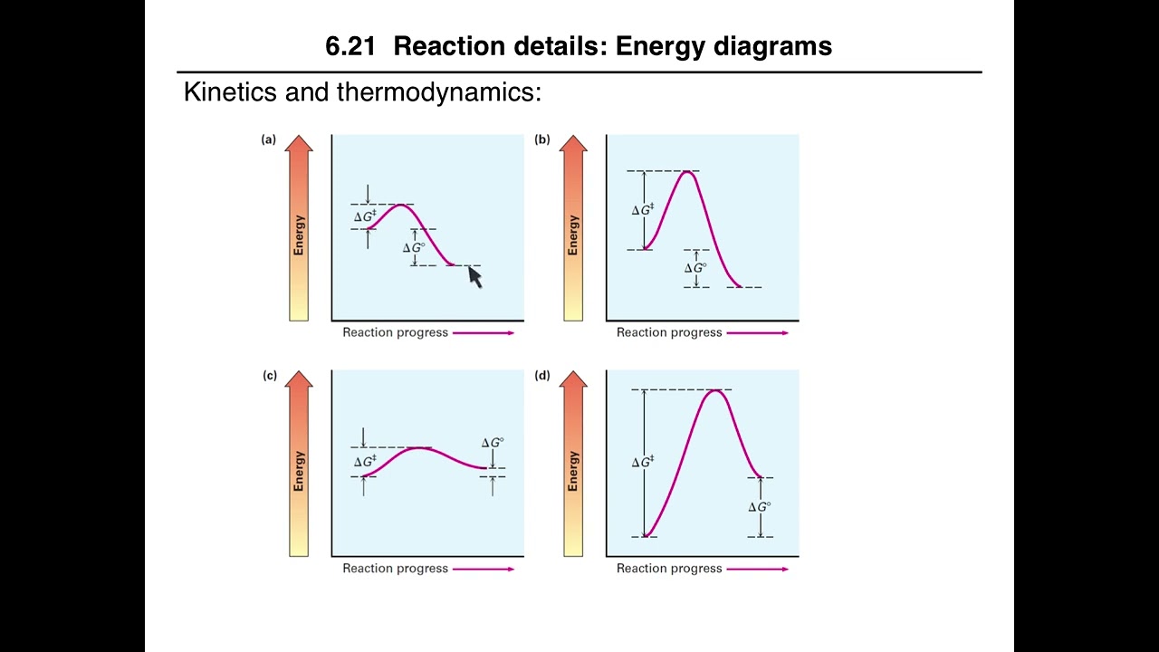 6OrgRxns-EnergyDiagrams 20-23