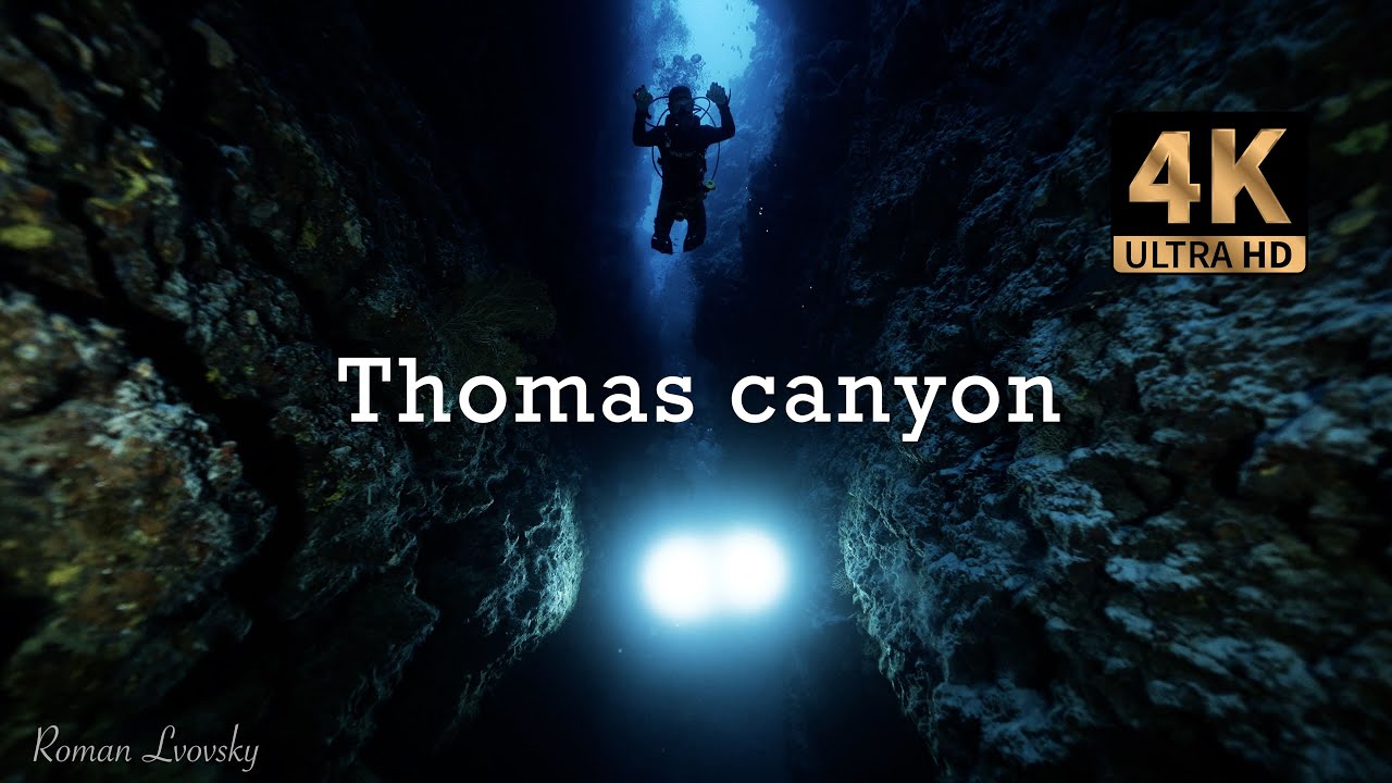 Sharm El Sheikh |  Deep Dive  &ndash; Diving Thomas Reef in the Red Sea | 4K Underwater Cinematic