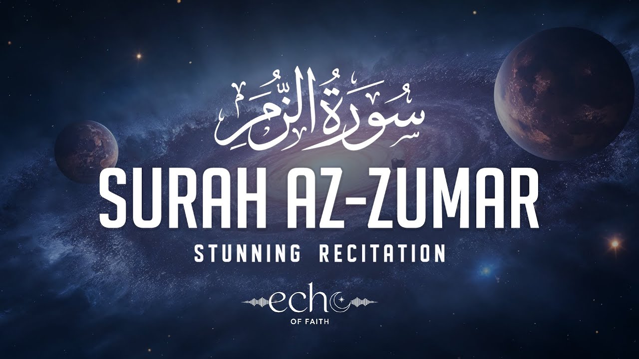 Surah Az-Zumar سورة الزمر | Peaceful Tilawat to Bring Rest & Spiritual Comfort #lofiquran