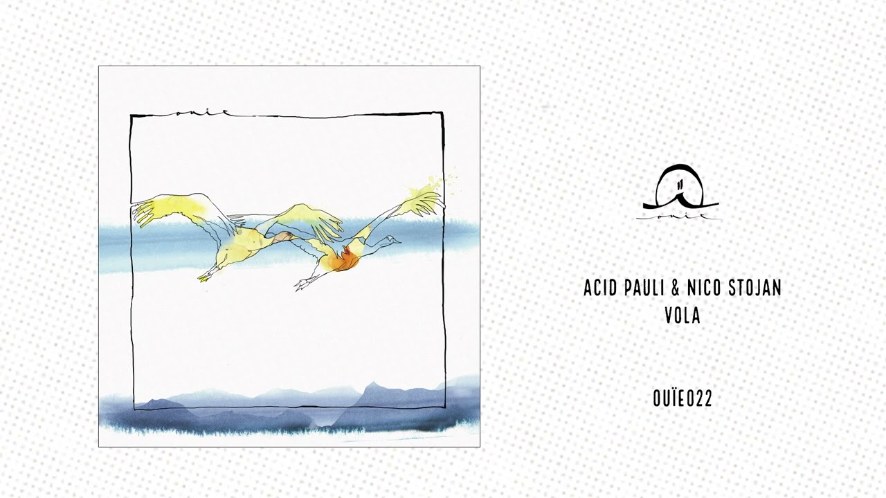 Acid Pauli & Nico Stojan: Vola