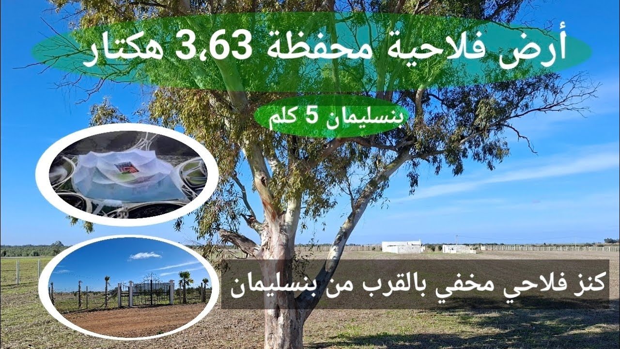 أرض فلاحية محفظة 3,63 هكتار قرب الملعب الكبير الحسن الثاني طريق المحمدية. 