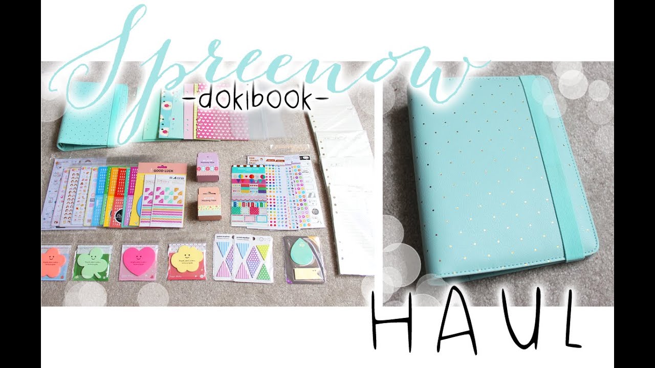 HUGE Affordable Stationery/ Planner Haul (Love Doki/Dokibook)