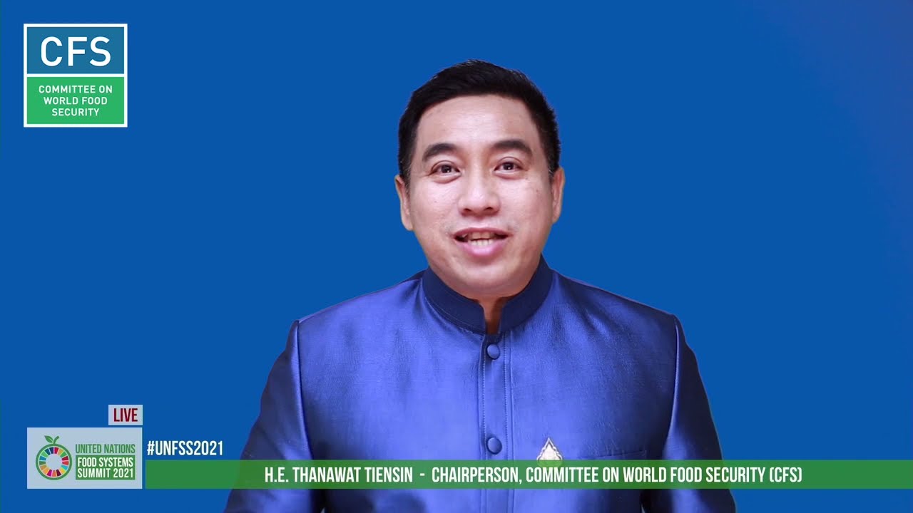 UN Food Systems Summit 2021: Statement by CFS Chairperson