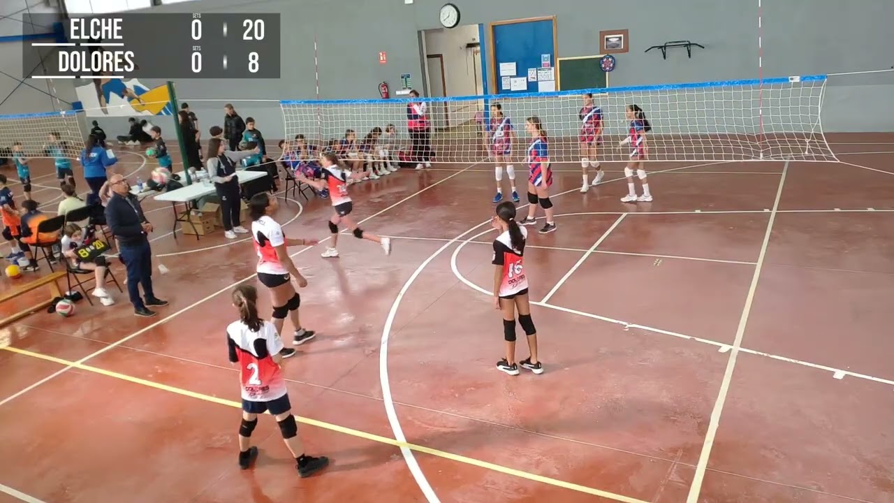 Elche vs Dolores - Categoria Alevín. 30/11/25