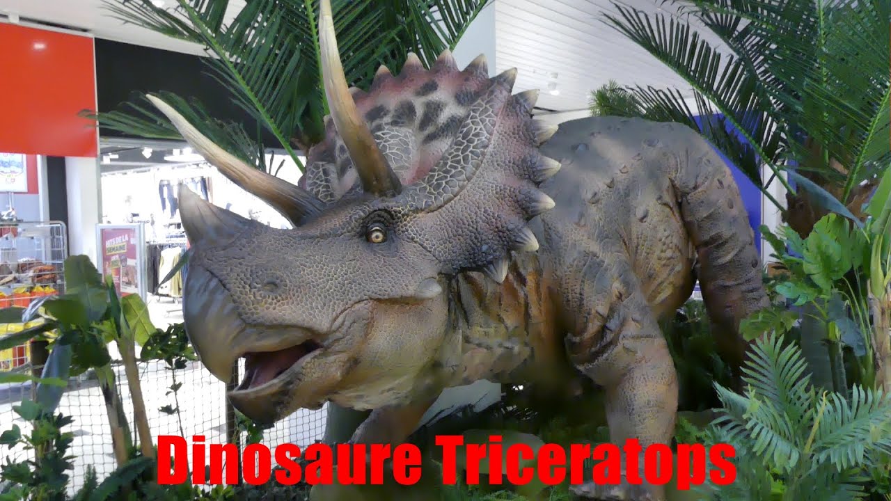 Dinosaures en mouvements N°2 - Dinosaurier in Bewegung Triceratops / Avry-Centre / Migros