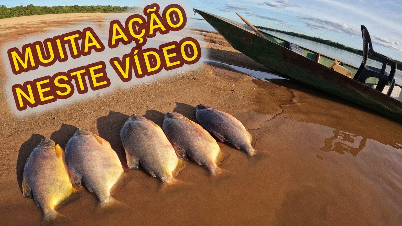 CARDUME DE PACU CARANHA, HOJE ELAS ESTAVAM COM FOME- PESCARIA RIO SÃO FRANCISCO-