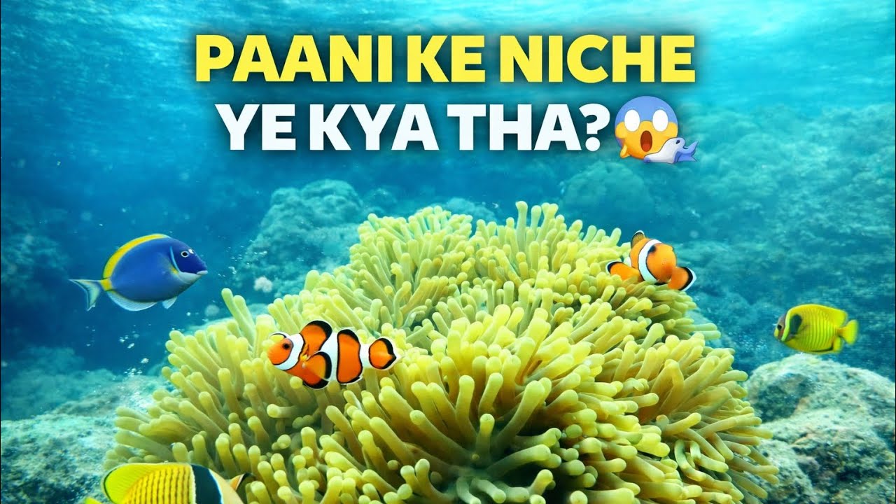 India’s Hidden Ocean World 😳 |Scuba in Andaman and Nicobar Islands 🌊@TravelTalesByPriyambada 