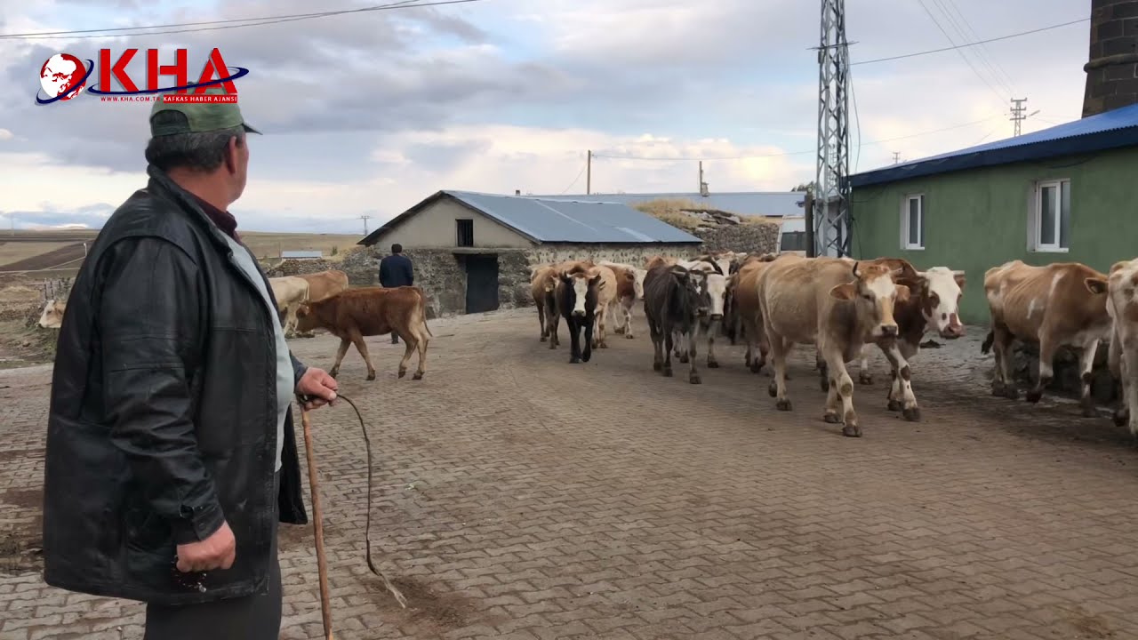 Cebeci’de akşam vakti