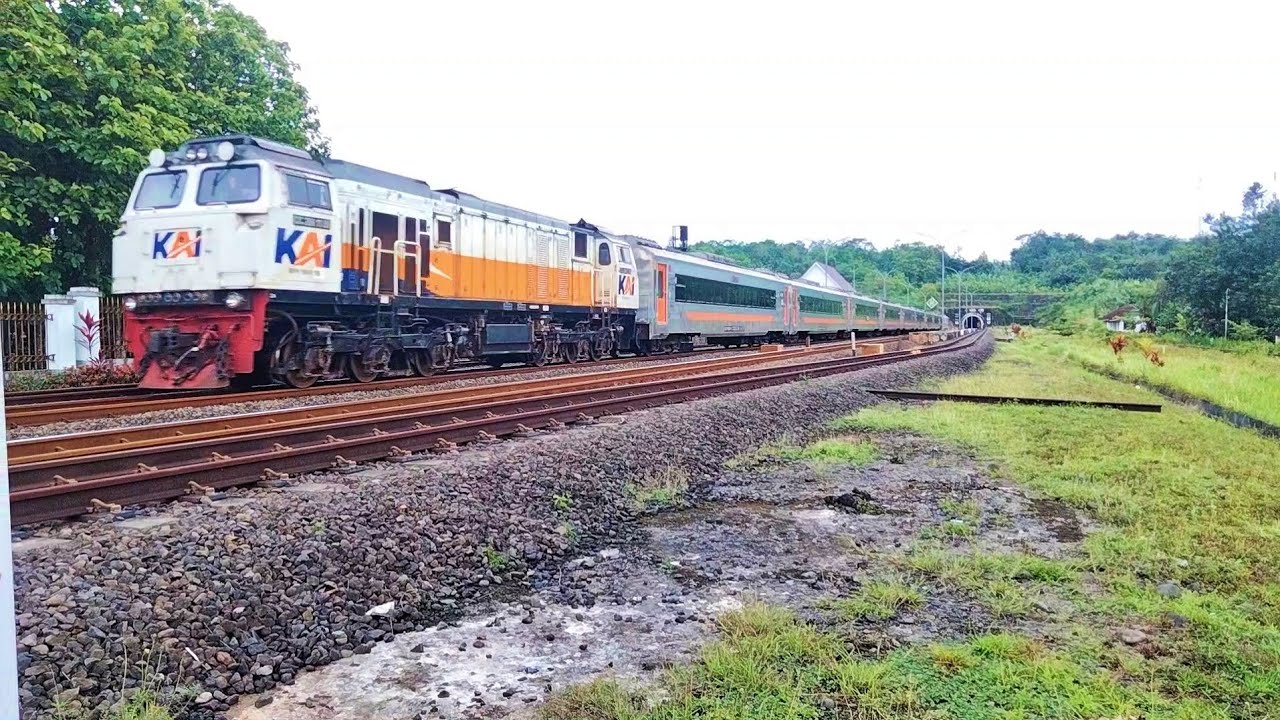 Ka Malabar & Ka Gaya baru malam Selatan Melintas di Stasiun dan Terowongan ijo baru