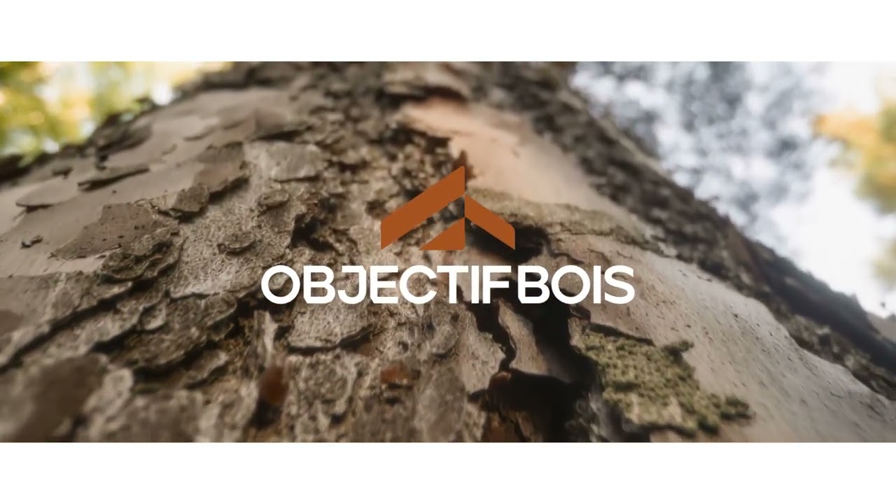 OBJECTIF BOIS_Vision film