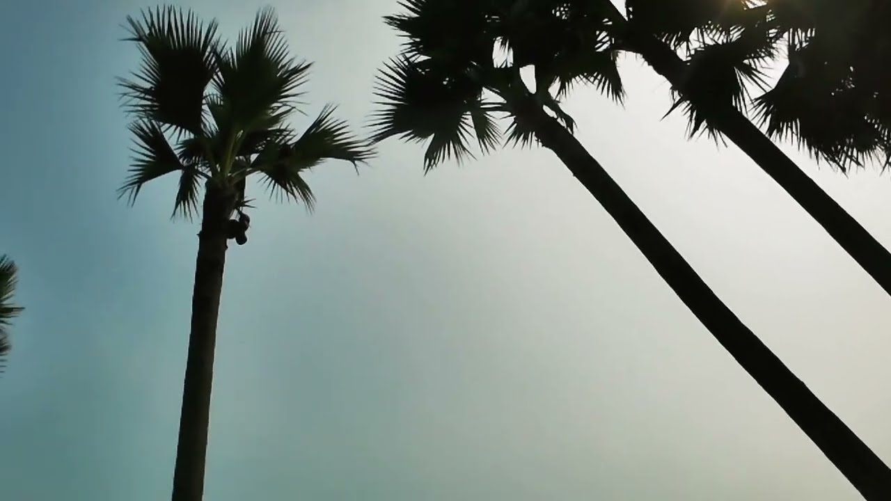 গ্রাম বাংলা 