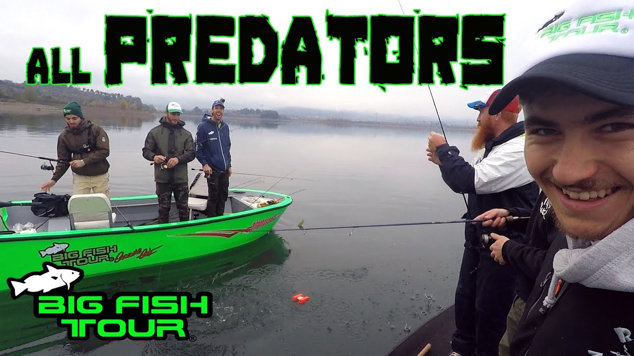 Big fish tour -🐆🐊all PREDATORS🐊🐆