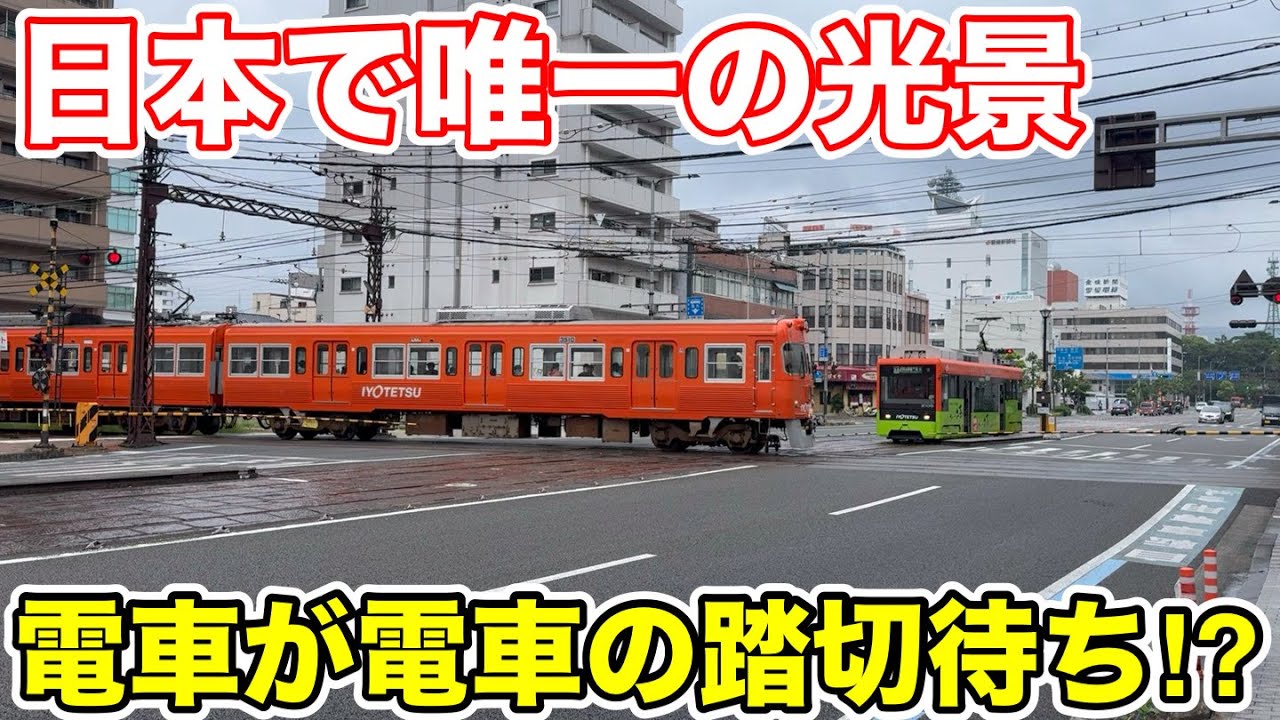 【電車が電車の踏切待ち⁉︎】日本で唯一の光景を見に行ってきた