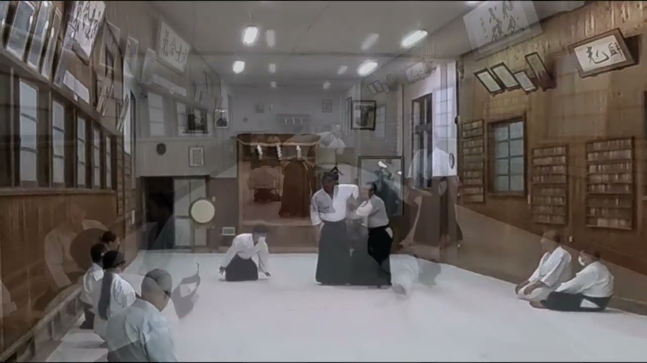 L'Assetaï au Japon 2024- Partie 2