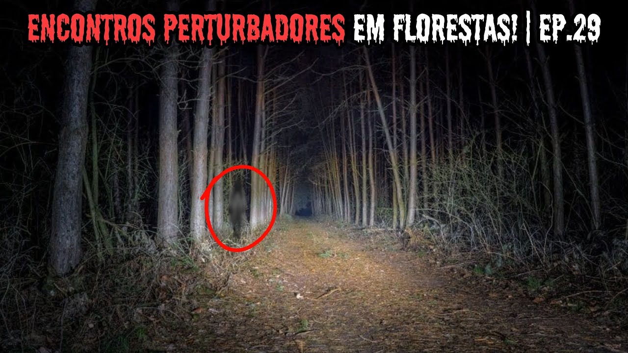 Encontros Perturbadores e de puro Terror em Florestas!  | EP.29
