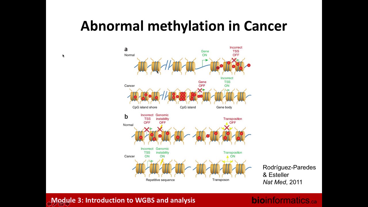 Introduction to WGBS and Analysis