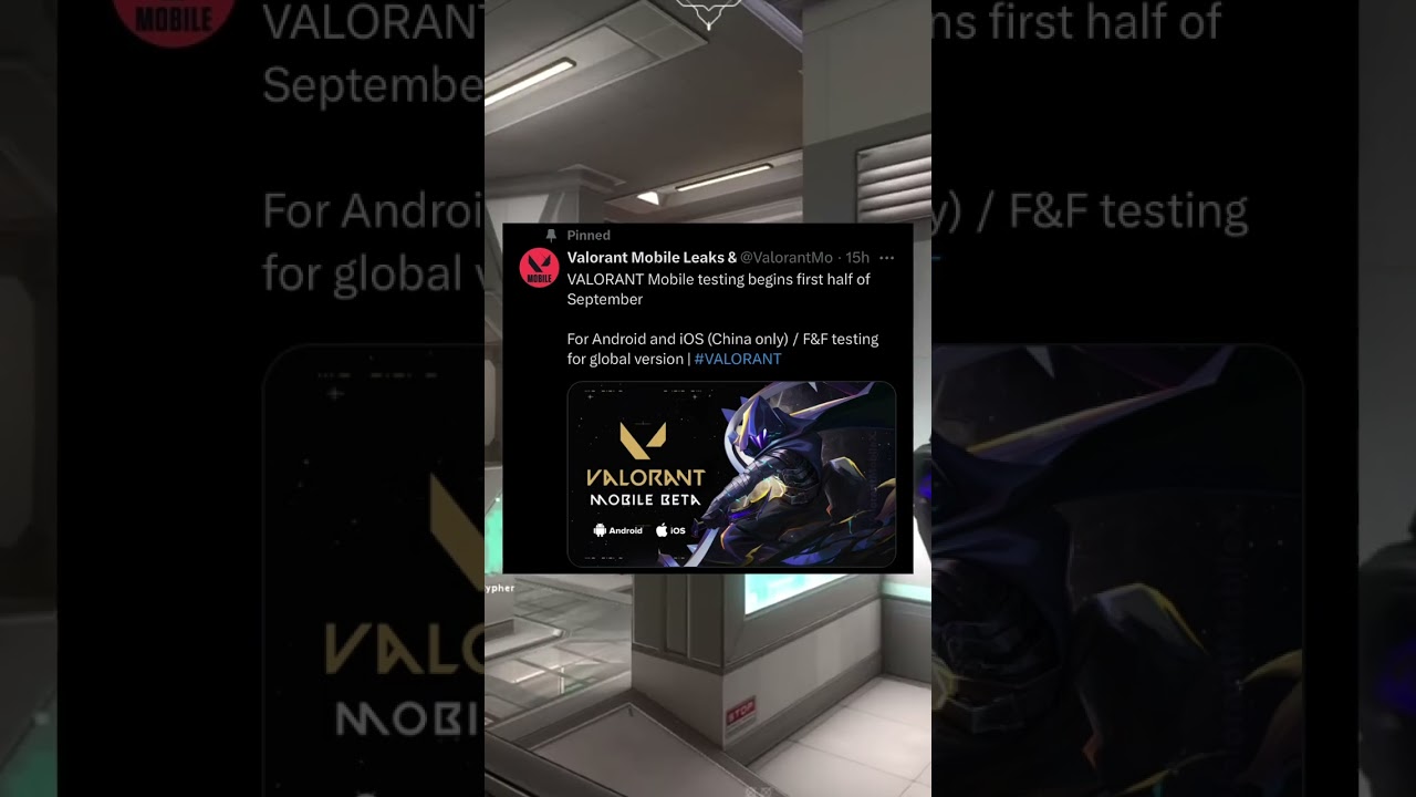 #valorant