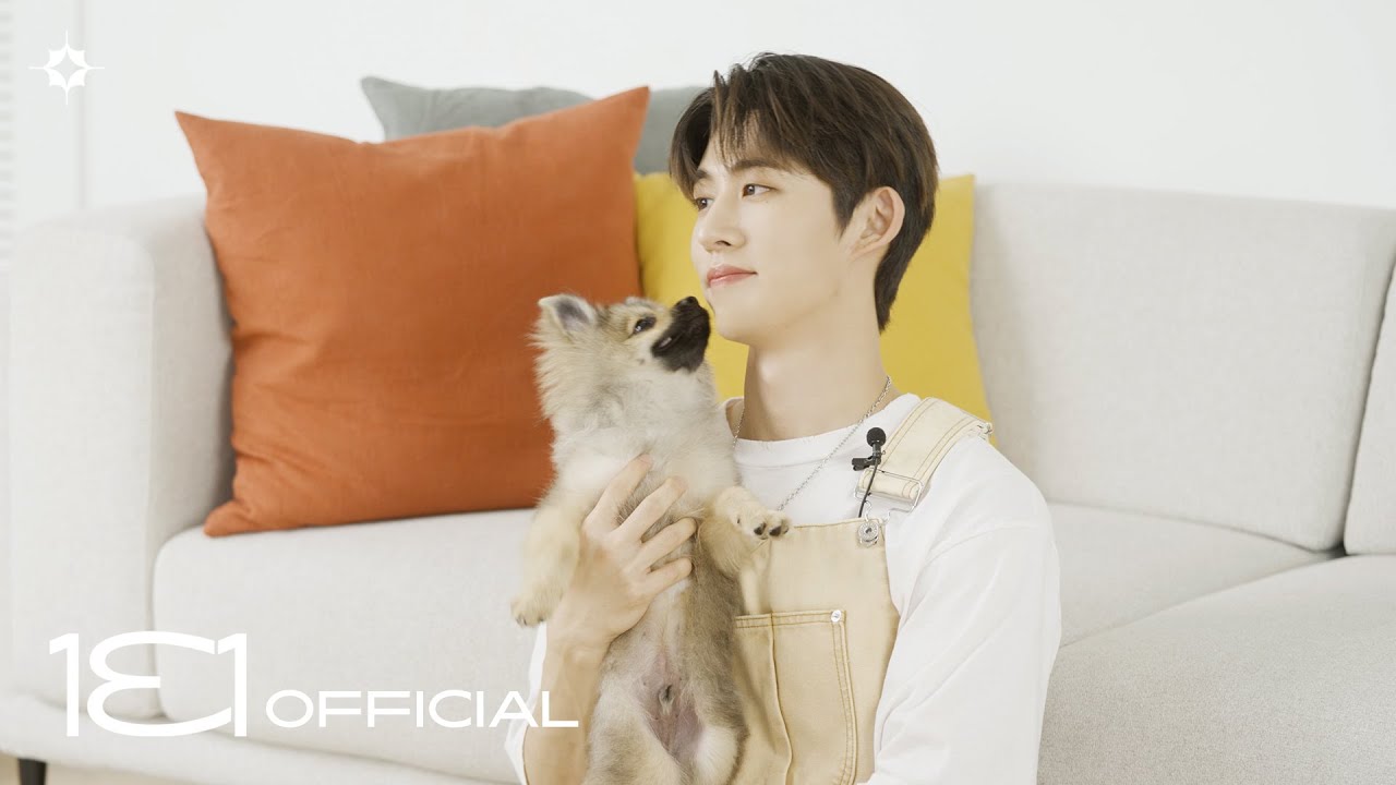누가 이 인터뷰를 싫어한단 말임? │ Can Anyone Not Like This Interview?🐤🐶🐶