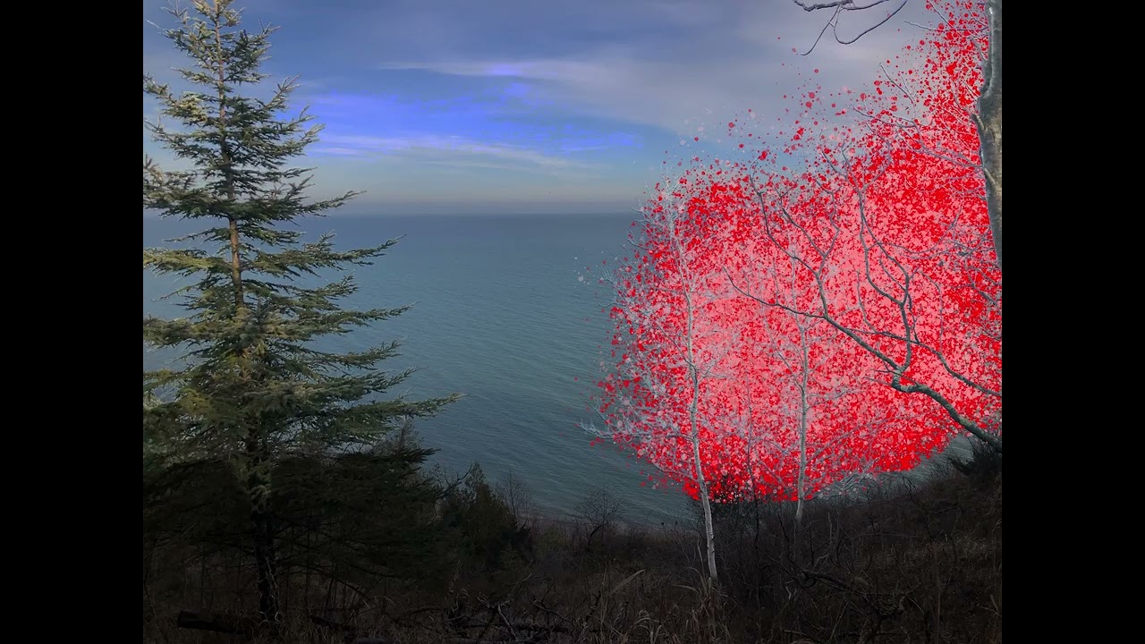 Admiring Nature Alone