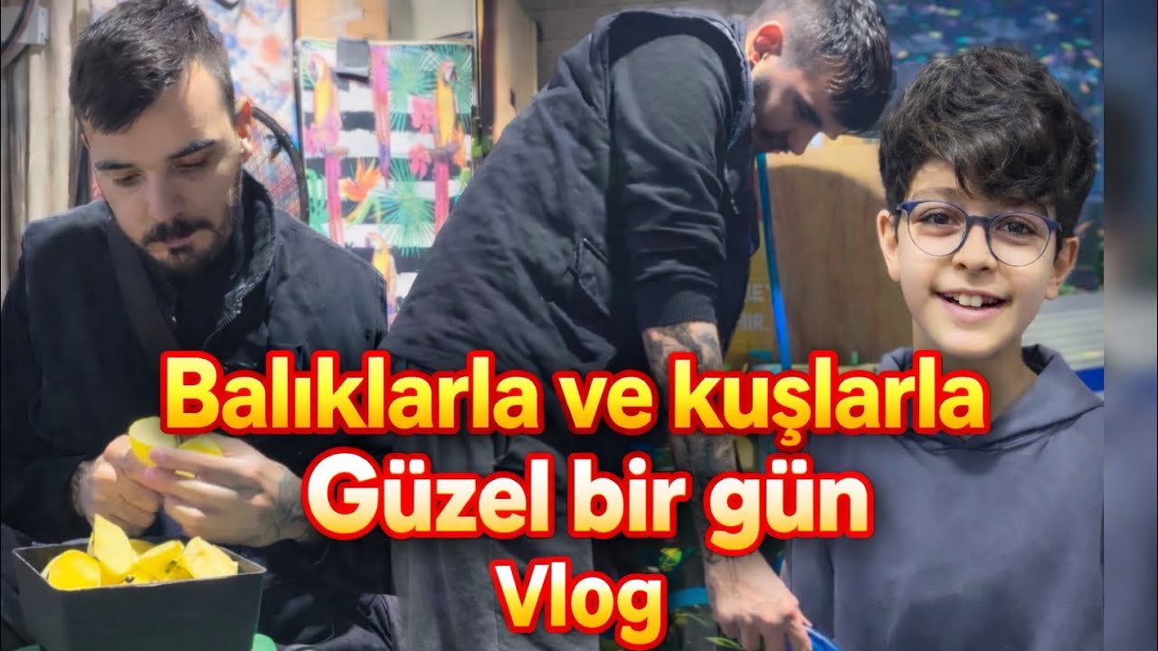 PAPAĞANLARLA VE BALIKLARLA GÜZEL BİR GÜN VLOG 