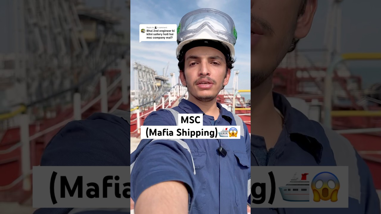MSC ( MAFIA SHIPPING) 🛳️😱😱 