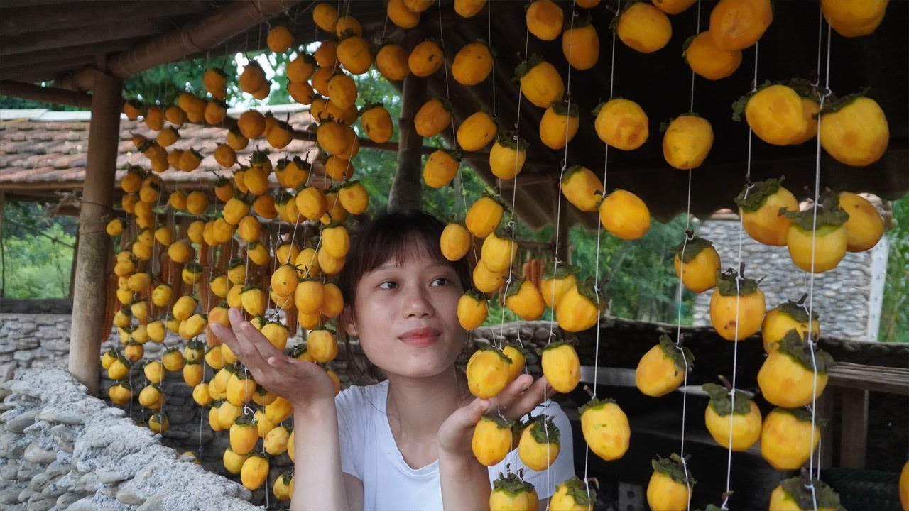 FULL VIDEO: Harvesting peach fruit, Grapefruit, mushrooms, Sprouted Go To The Market To Sell