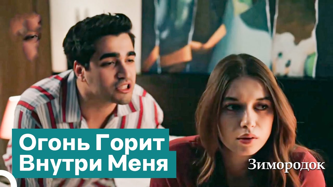Каждую Ночь Моё Тело Жаждет Тебя | Зимородок