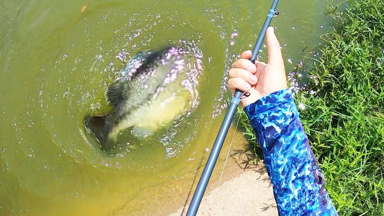 I’ve been CHASING this BASS of a LIFETIME for SO LONG!! 