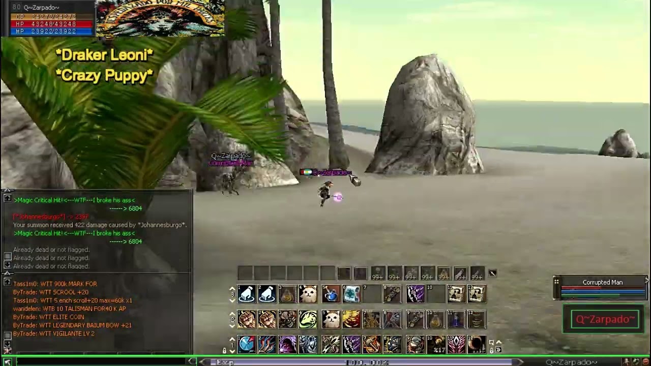 L2 ELITE C4 2025 PvP By ~Draker Leoni~ Video09