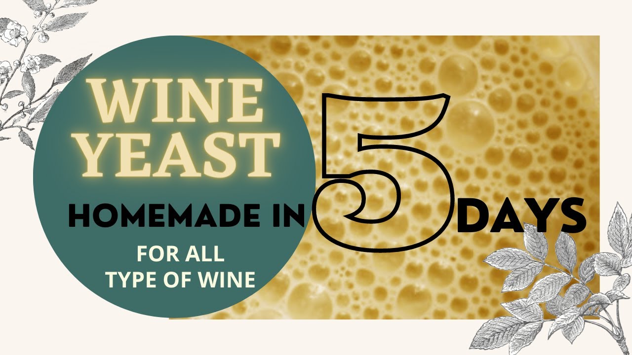 HOMEMADE WINE YEAST RECIPE || Wild Yeast for Wine & Beer