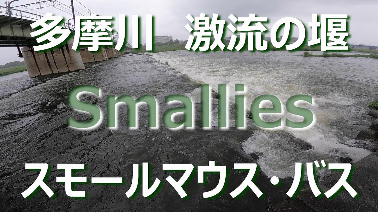 東京ルアー釣り、多摩川スモール 多摩川の堰＆大栗川 (Tokyo Lure Fishing, Bass, 小口黑鱸)