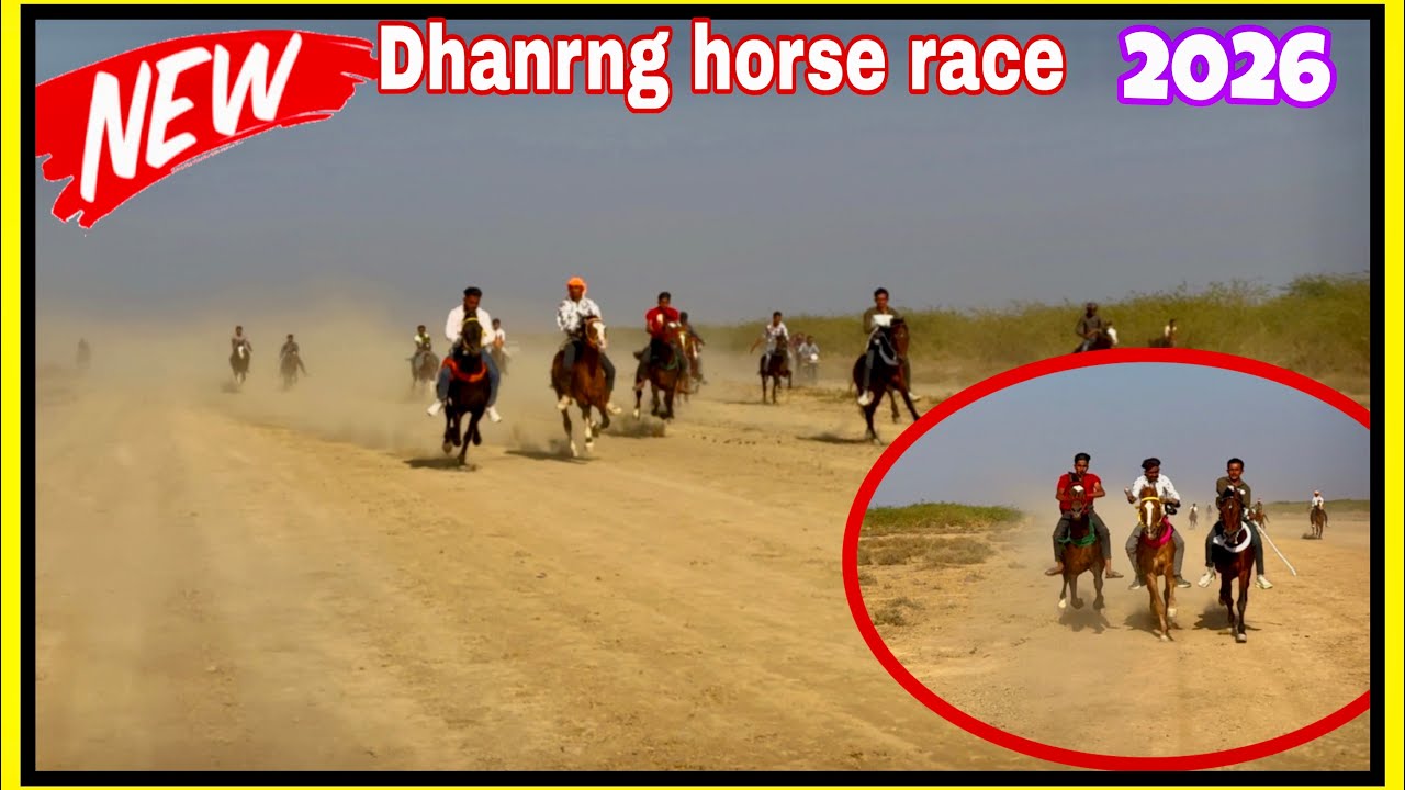  Dhrang kutch horse race | 3400 vs motti की जबरदस्त दौड़  |16 | 02 | 2026 #royalhorserace47 