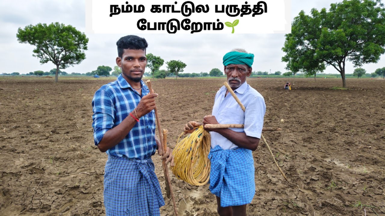 பருத்தி விதை போடப்போறோம்🌱|Village video in tamil| Idhu Namma Route.  #tamil#villagelife#lifestyle