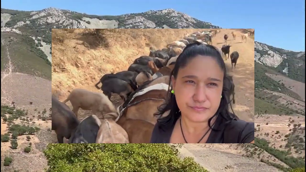 TODA MÍ VIDA HE ESTADO ENTRE CABRAS 