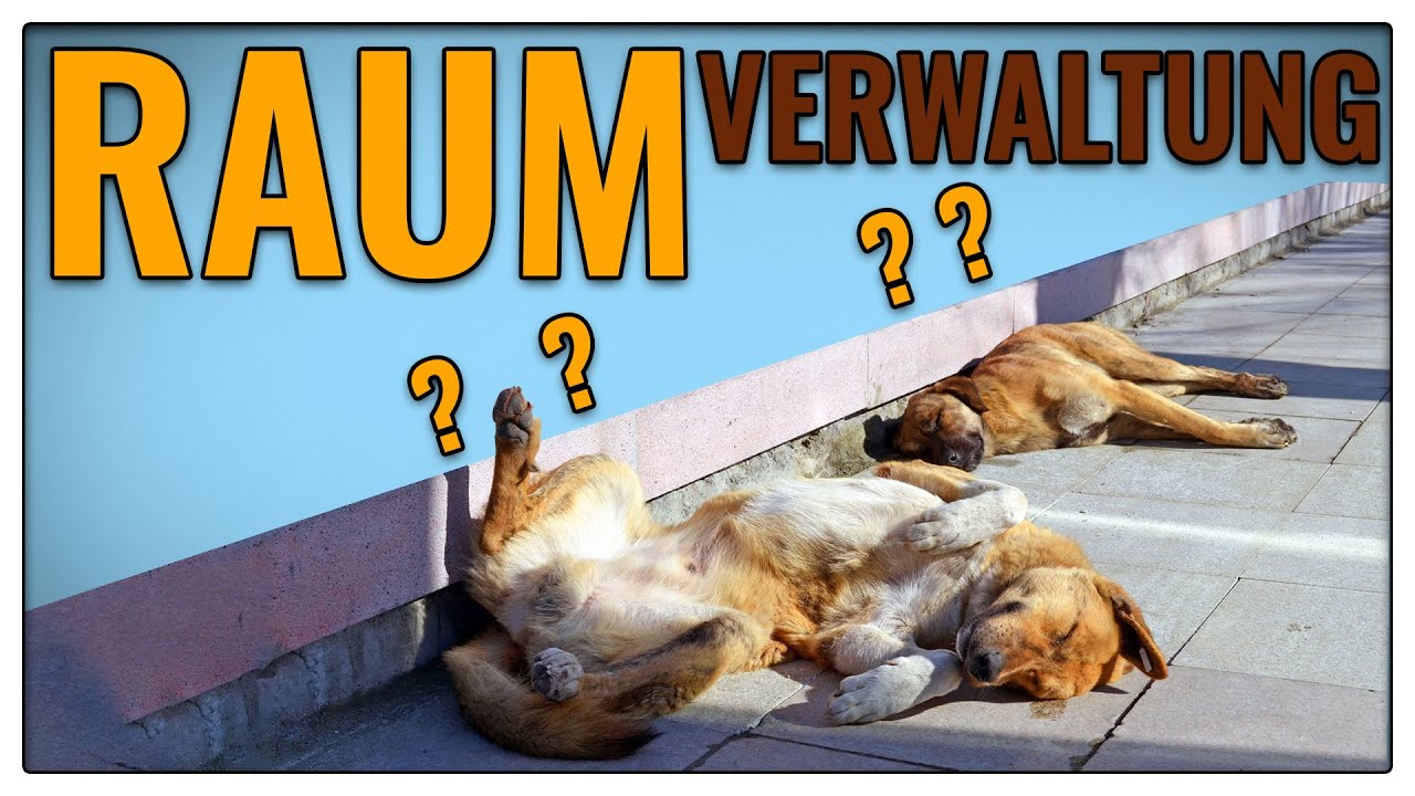 Vor dem Hund laufen - Blödsinn oder nicht? - TGH 359