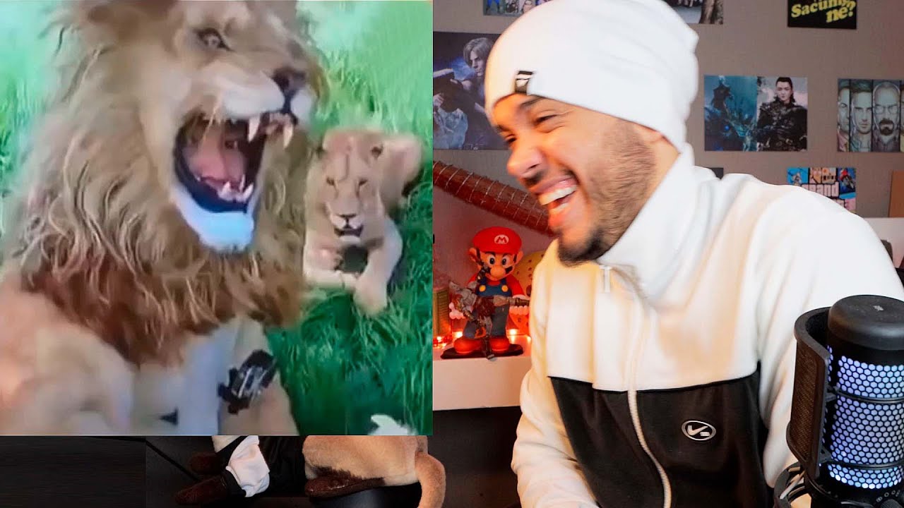Me poquei de rir com essas burrices e medonhices kkkkkk