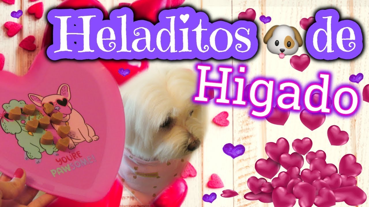 Adoquines de Higado para Perros🐶💕San Valentin, Coton de tulear I Lorentix