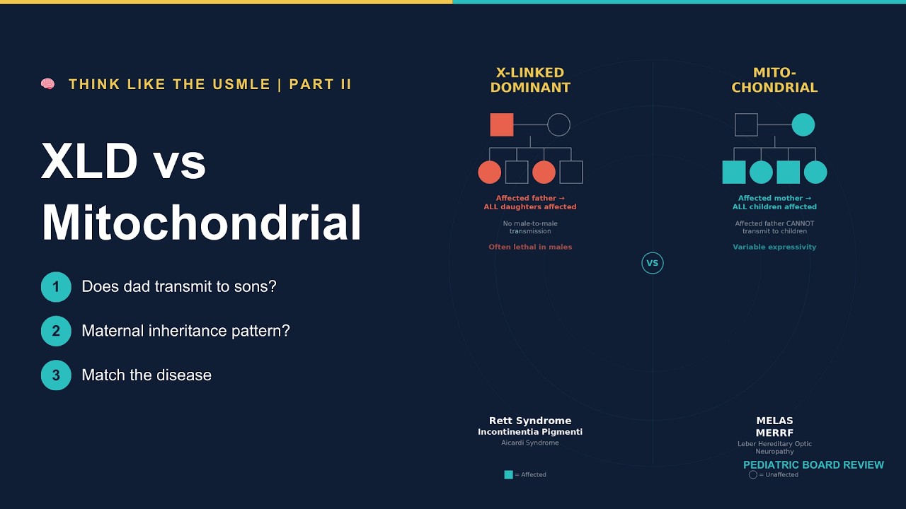 X-Linked Dominant vs Mitochondrial — Stop Confusing Them | USMLE & COMLEX